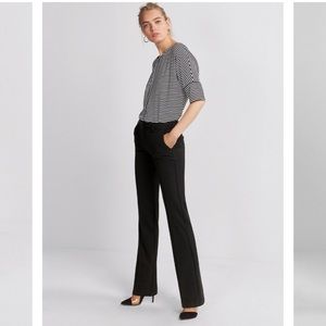 Design studio editor dress pant